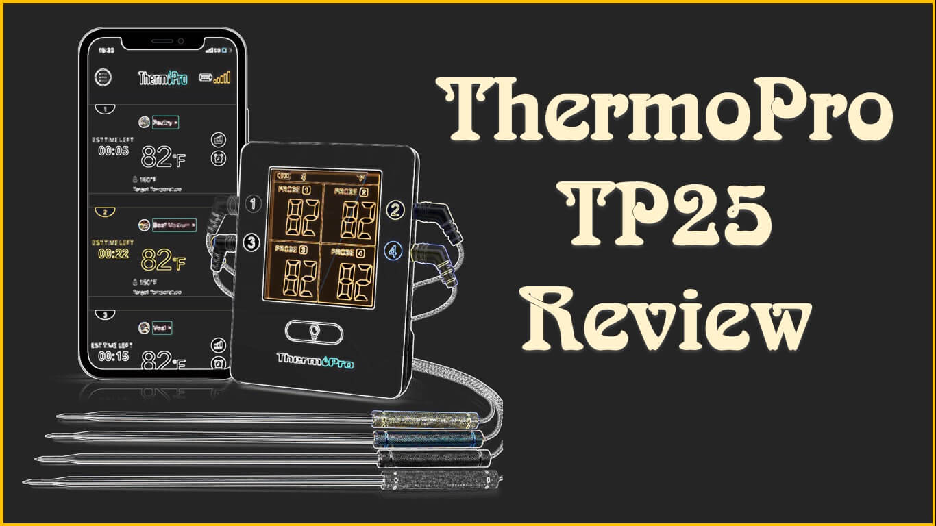 Thermopro TP 25 Review