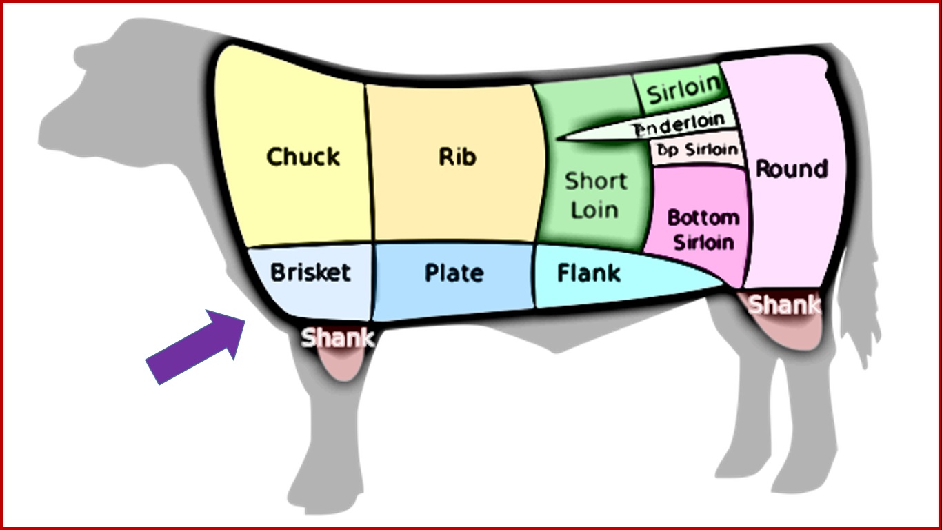 what part of the cow is brisket