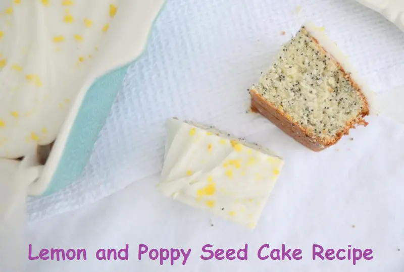 Lemon and Poppy Seed Cake Recipe | lemon poppy seed bundt cake
