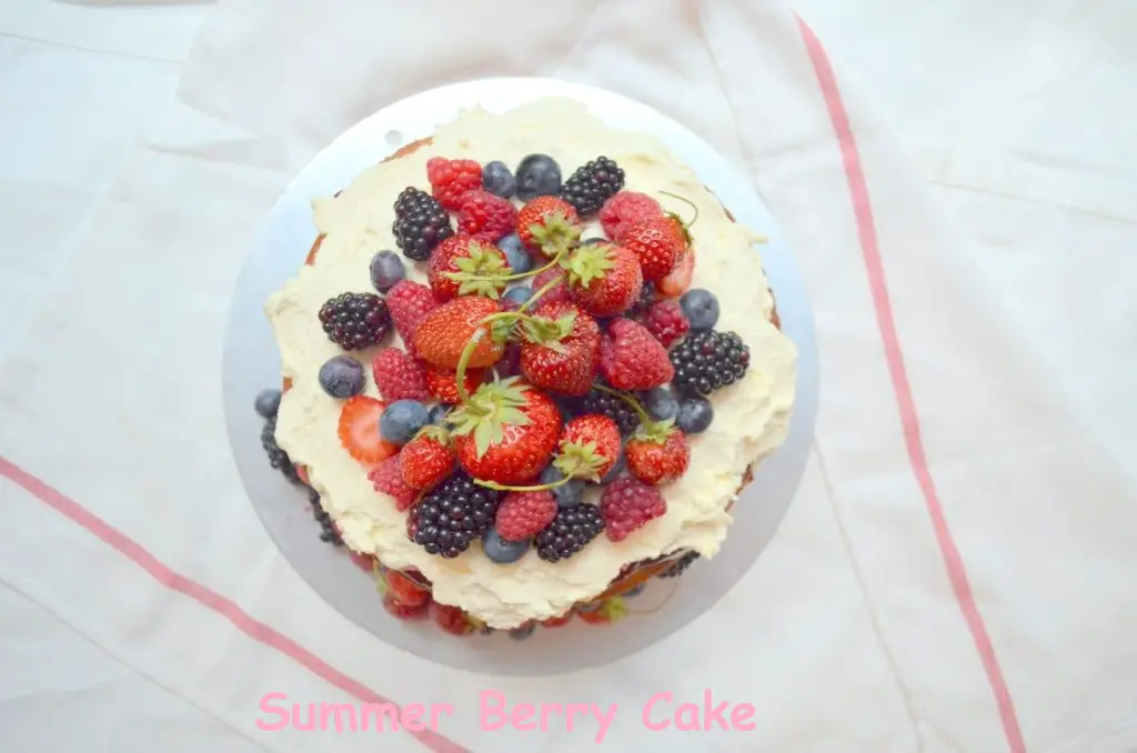 haagen-dazs summer berry cake pop | summer berry icebox cake