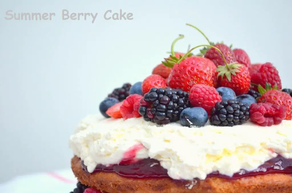 Summer Berry Cake | haagen dazs summer berry cake pop